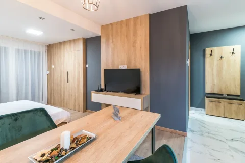 Stan Sankt Peterburg